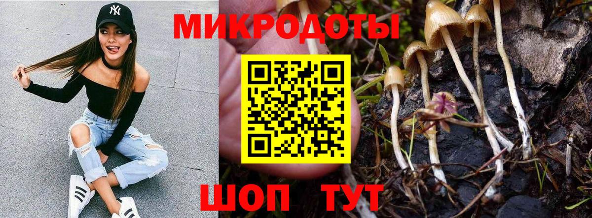Галлюциногенные грибы Psilocybe  Псилоцибиновые грибы GOLDEN TEACHER  Вход с VPN  Надым 