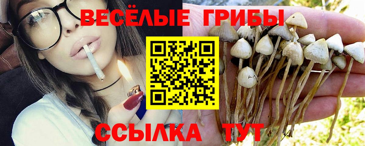 Галлюциногенные грибы ЛСД Надым
